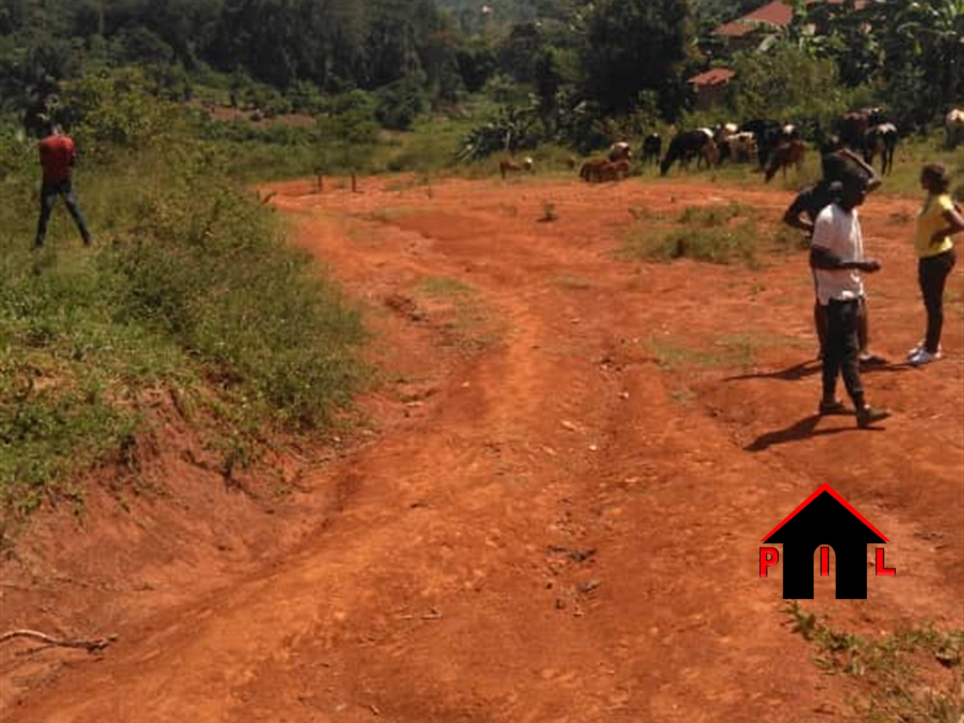 Residential Land for sale in Kiwenda Wakiso