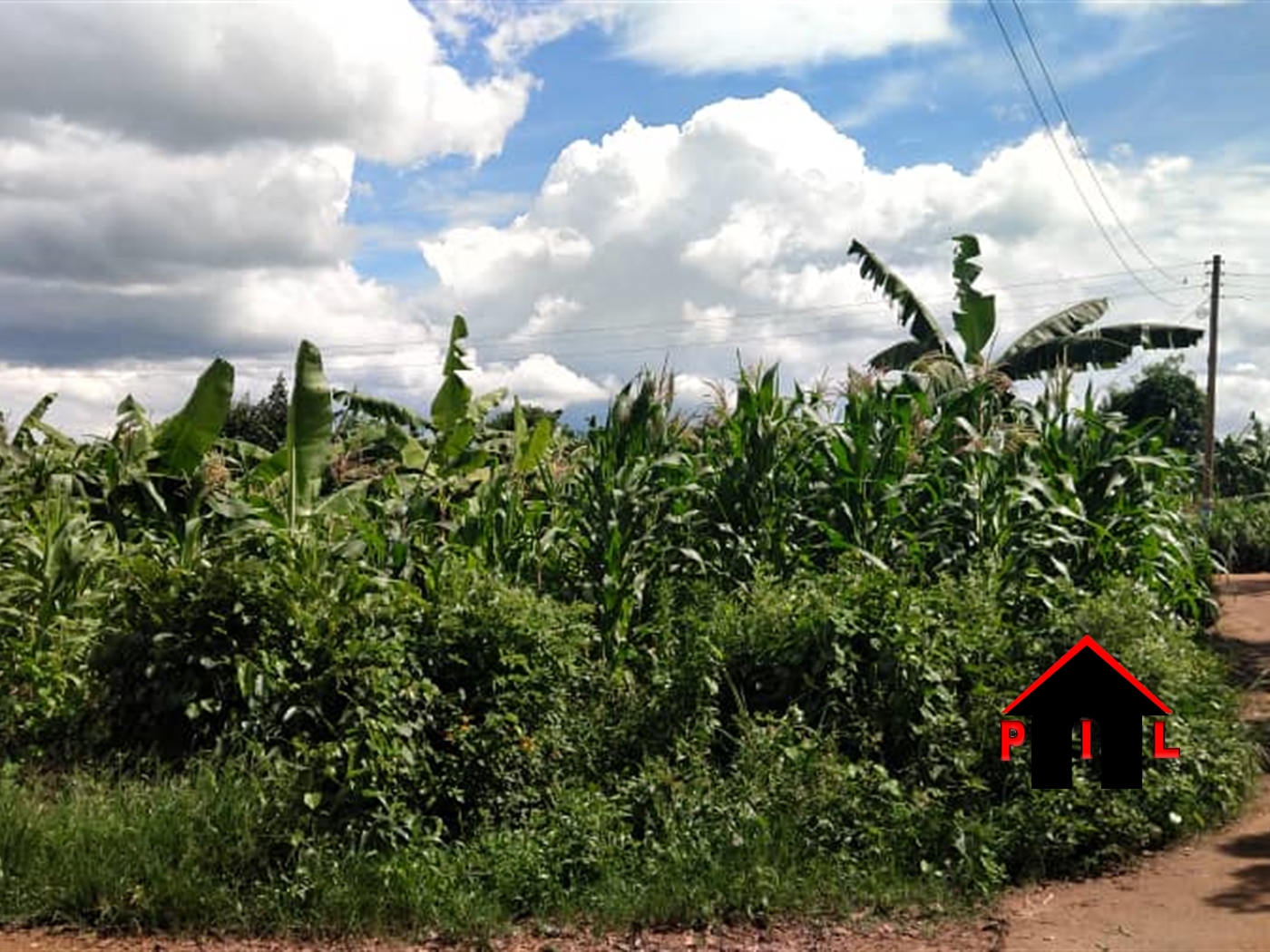 Residential Land for sale in Nkumba Wakiso