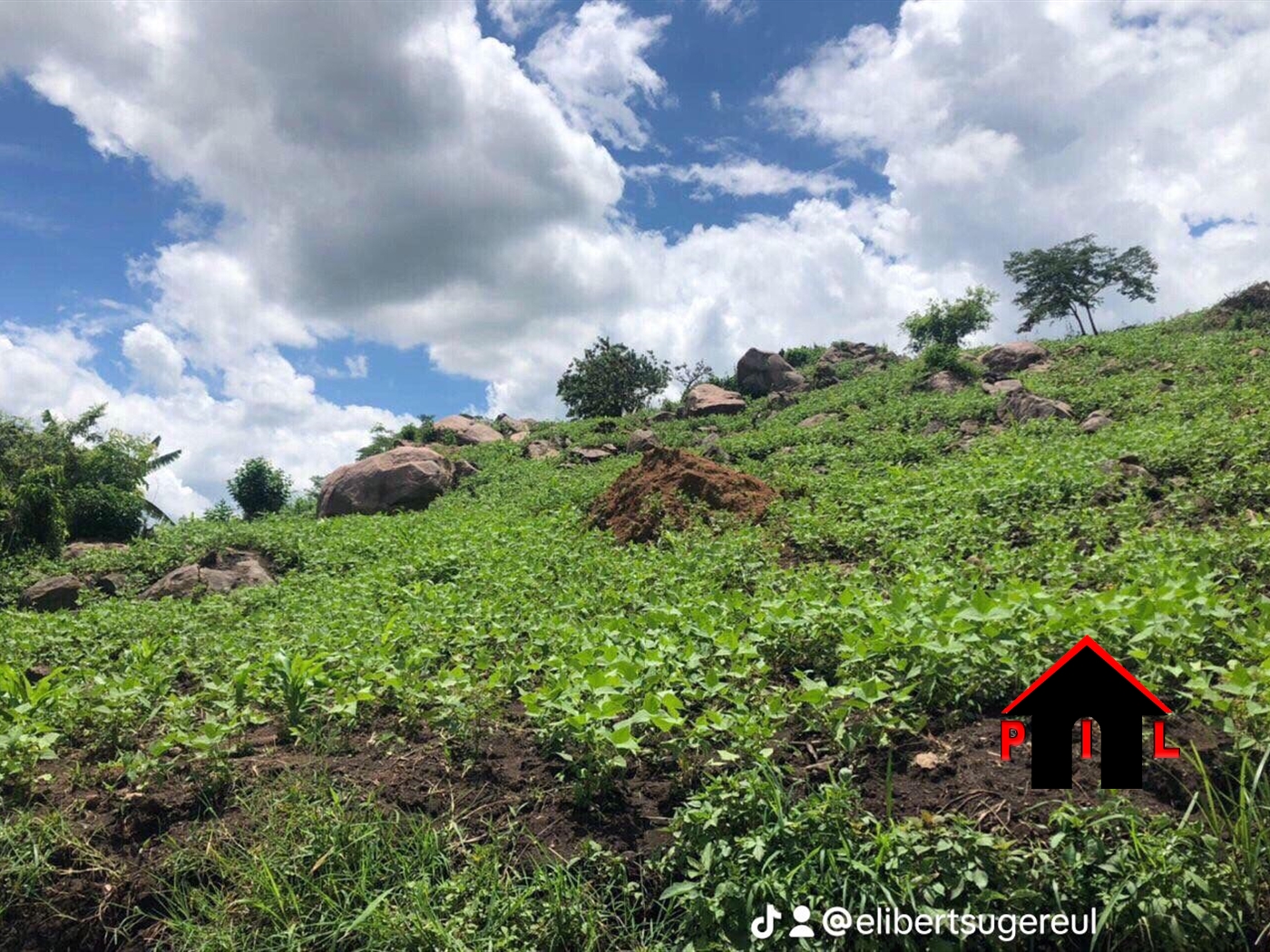 Agricultural Land for sale in Wobulenzi Luweero