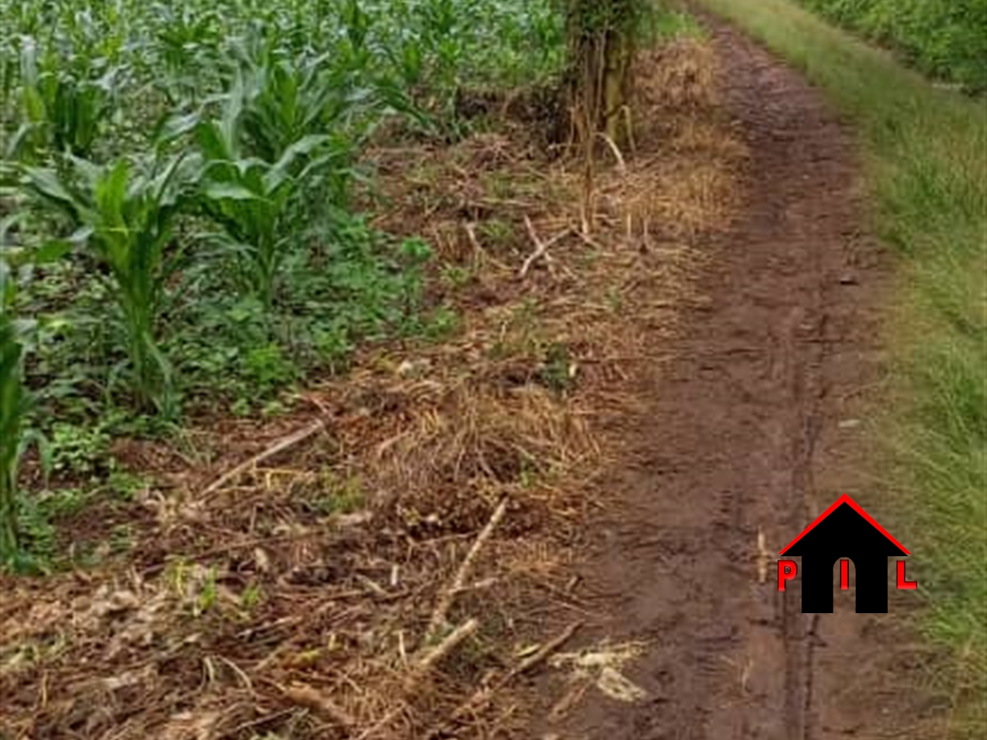 Residential Land for sale in Nakassajja Wakiso