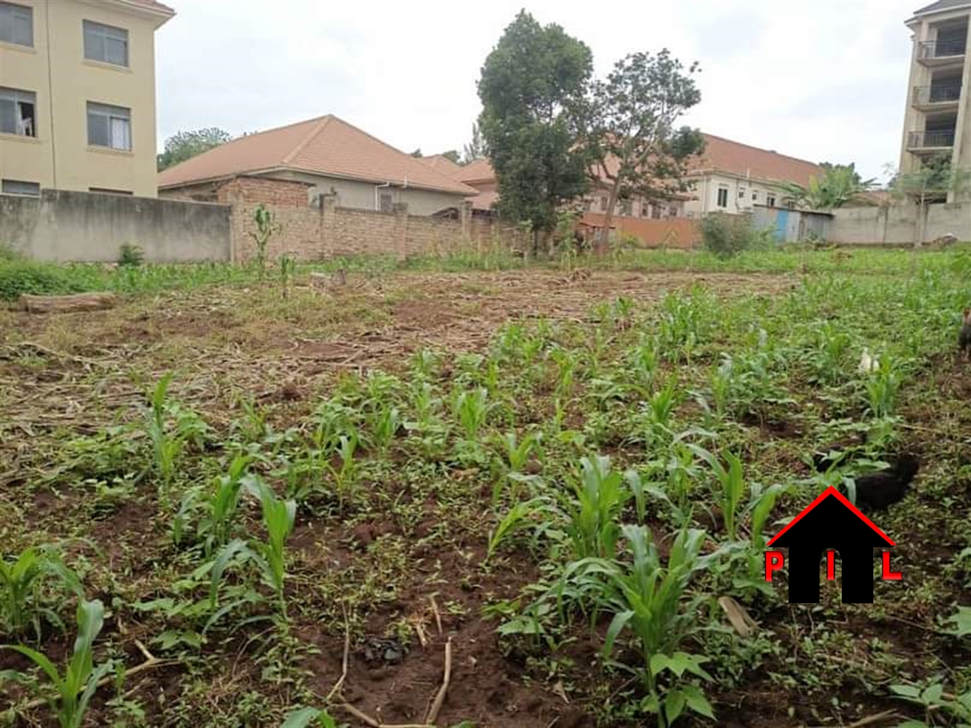 Residential Land for sale in Kyanja Kampala