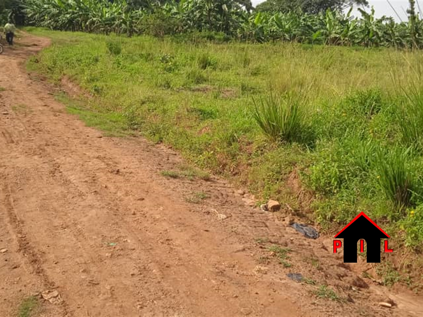 Agricultural Land for sale in Bulwanga Bulambuli