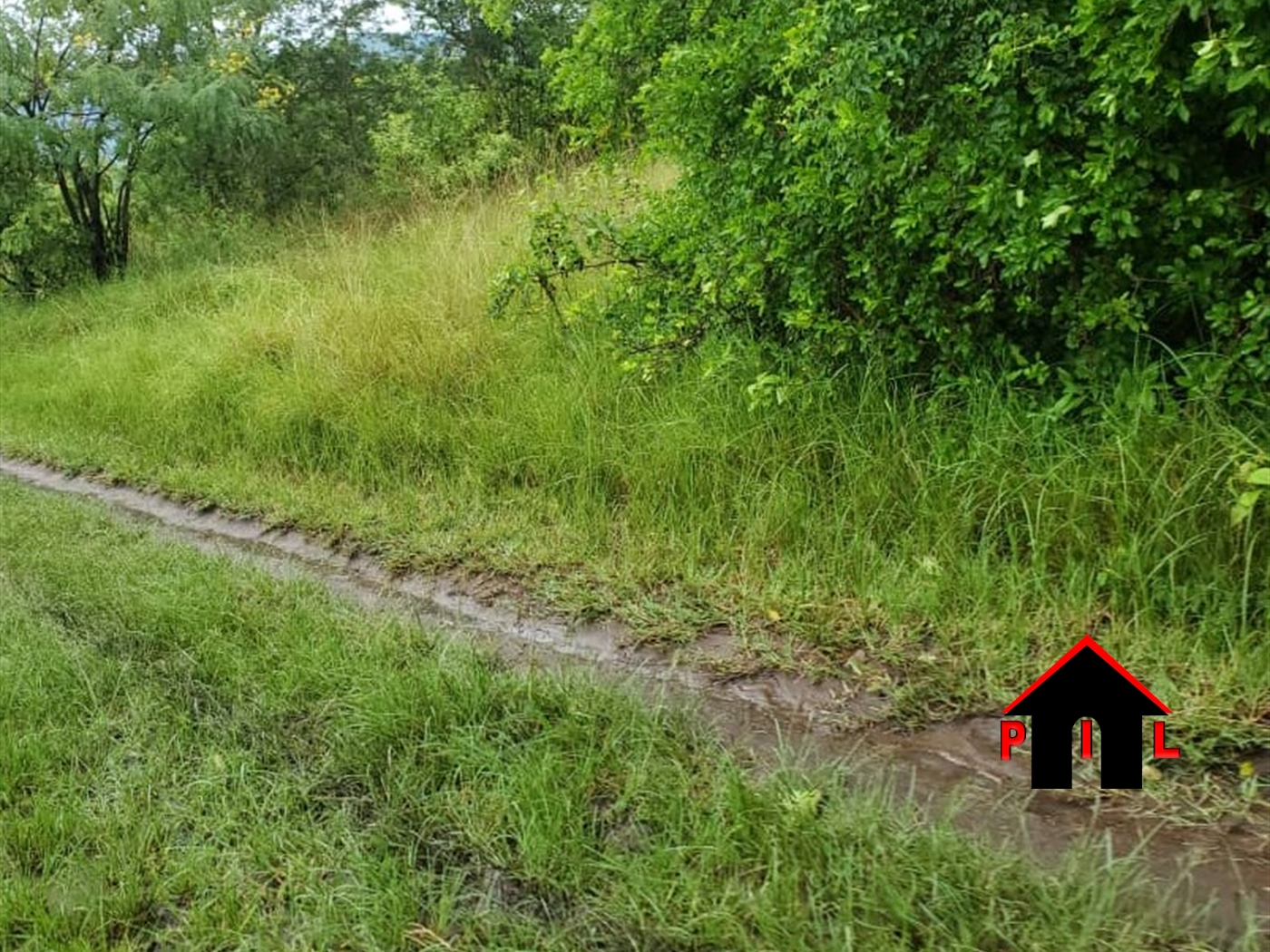 Agricultural Land for sale in Bufuni Wakiso