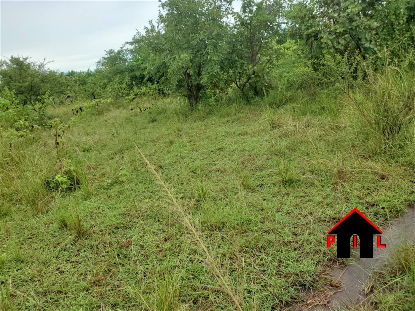 Agricultural Land for sale in Busangai Bulambuli