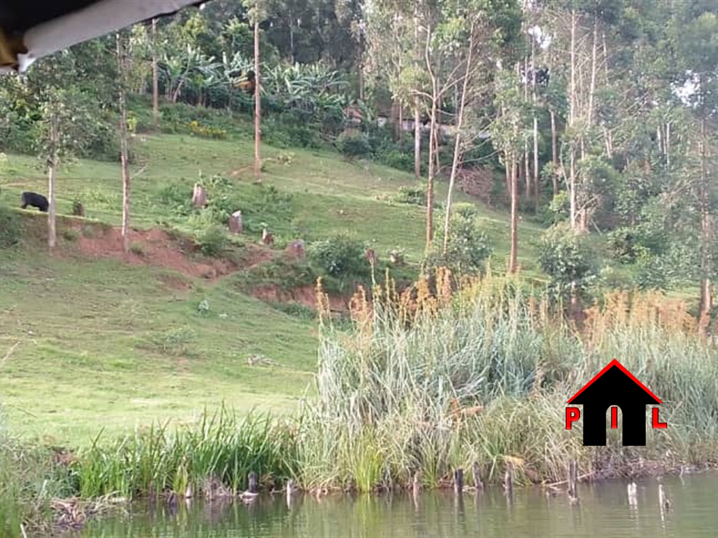 Agricultural Land for sale in Bubale Kabaale