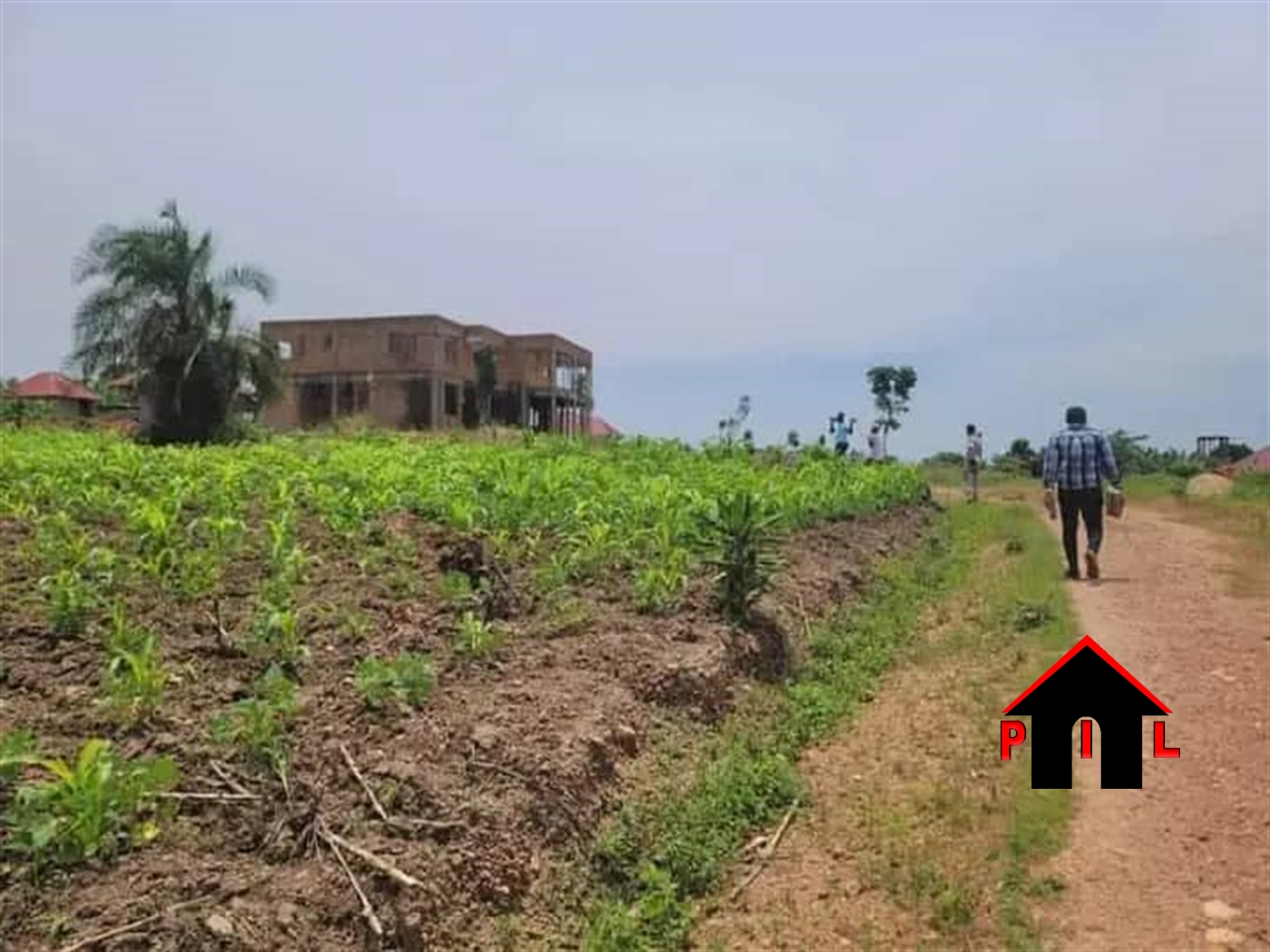 Commercial Land for sale in Nakweelo Wakiso