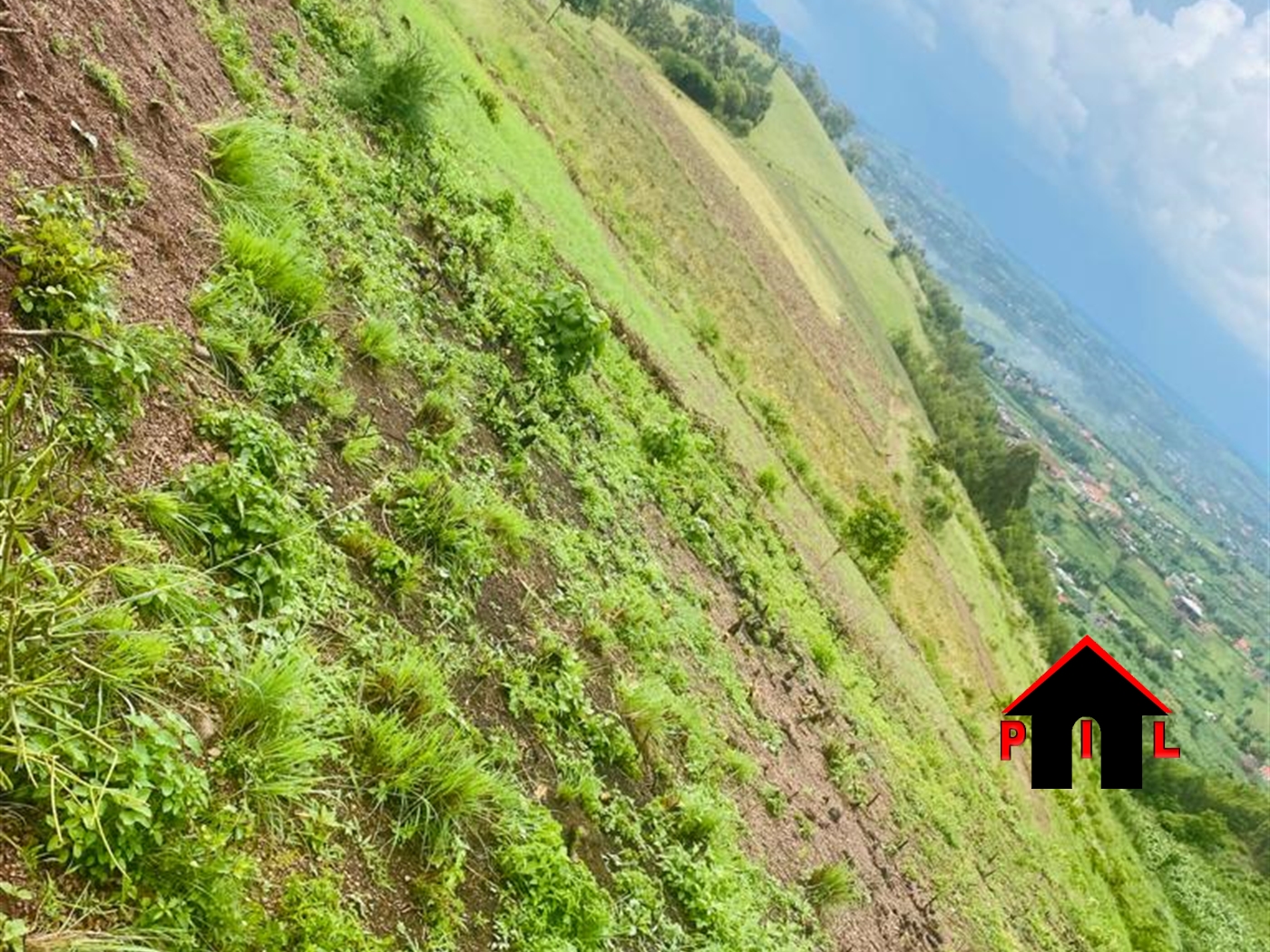 Farm for sale in Kolanorya Mbarara