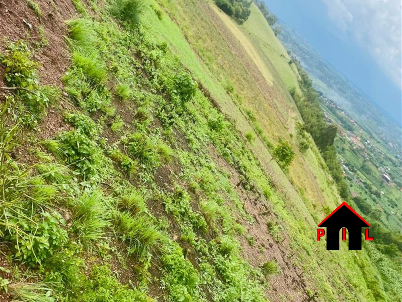 Farm for sale in Kolanorya Mbarara