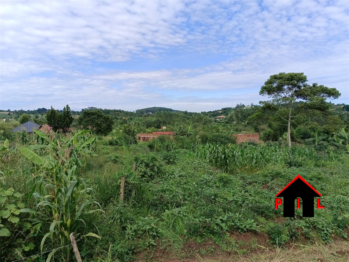 Commercial Land for sale in Matugga Wakiso