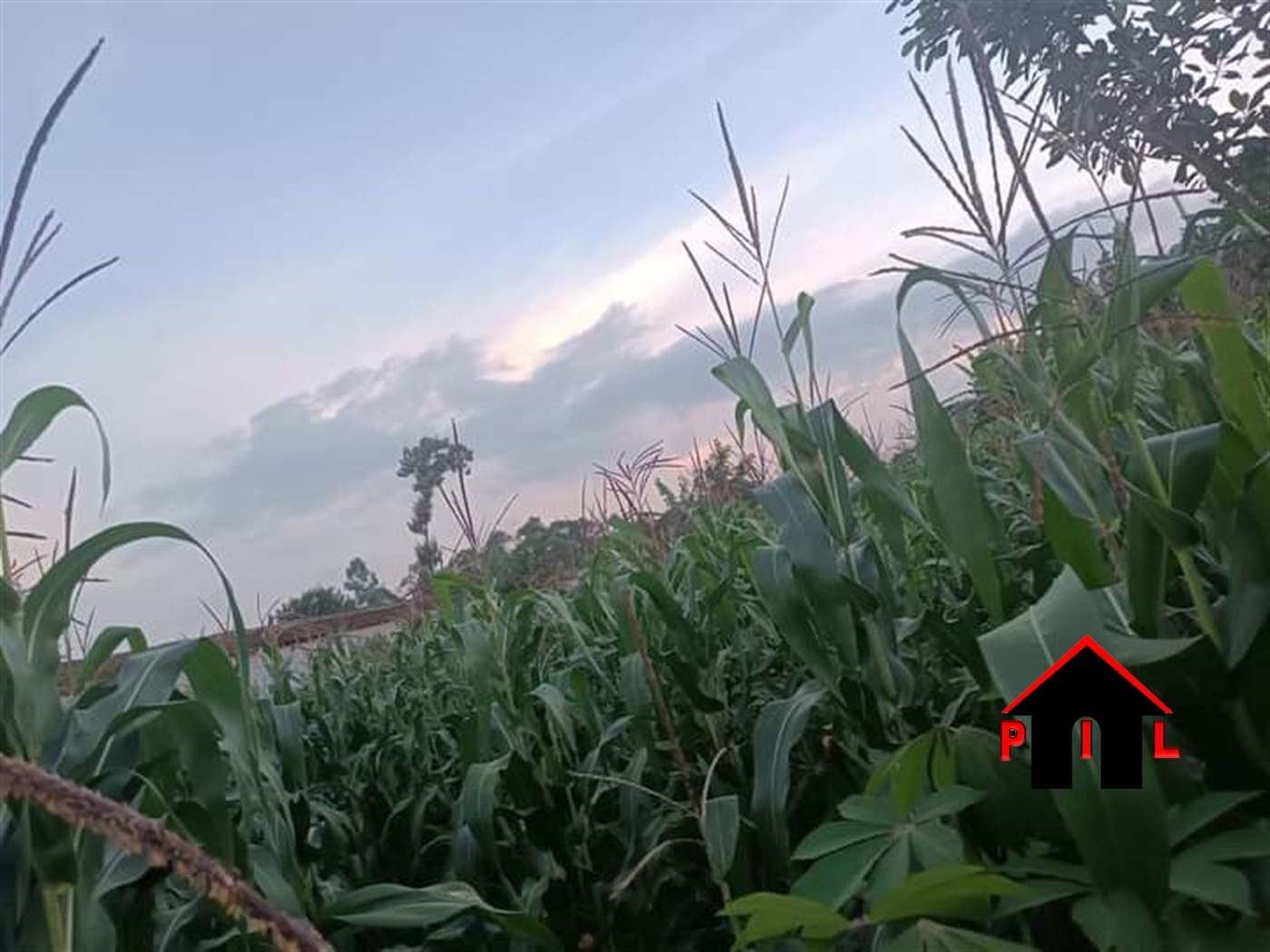 Commercial Land for sale in Kira Wakiso