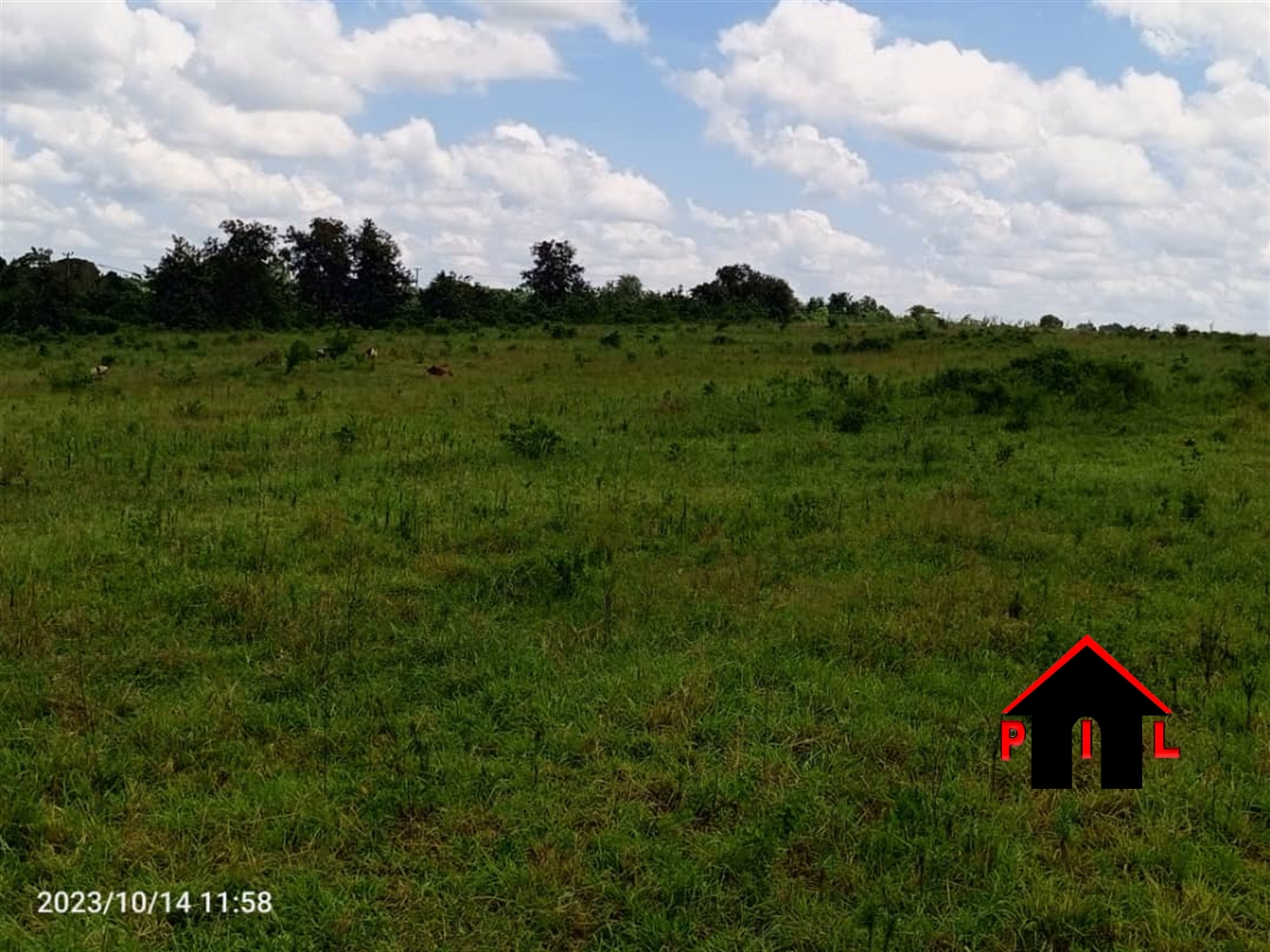 Commercial Land for sale in Butalangu Nakaseke