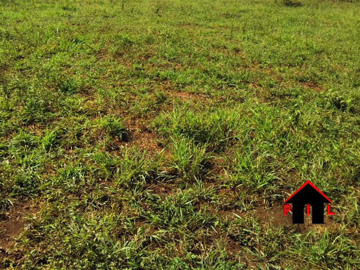 Commercial Land for sale in Ssenge Wakiso