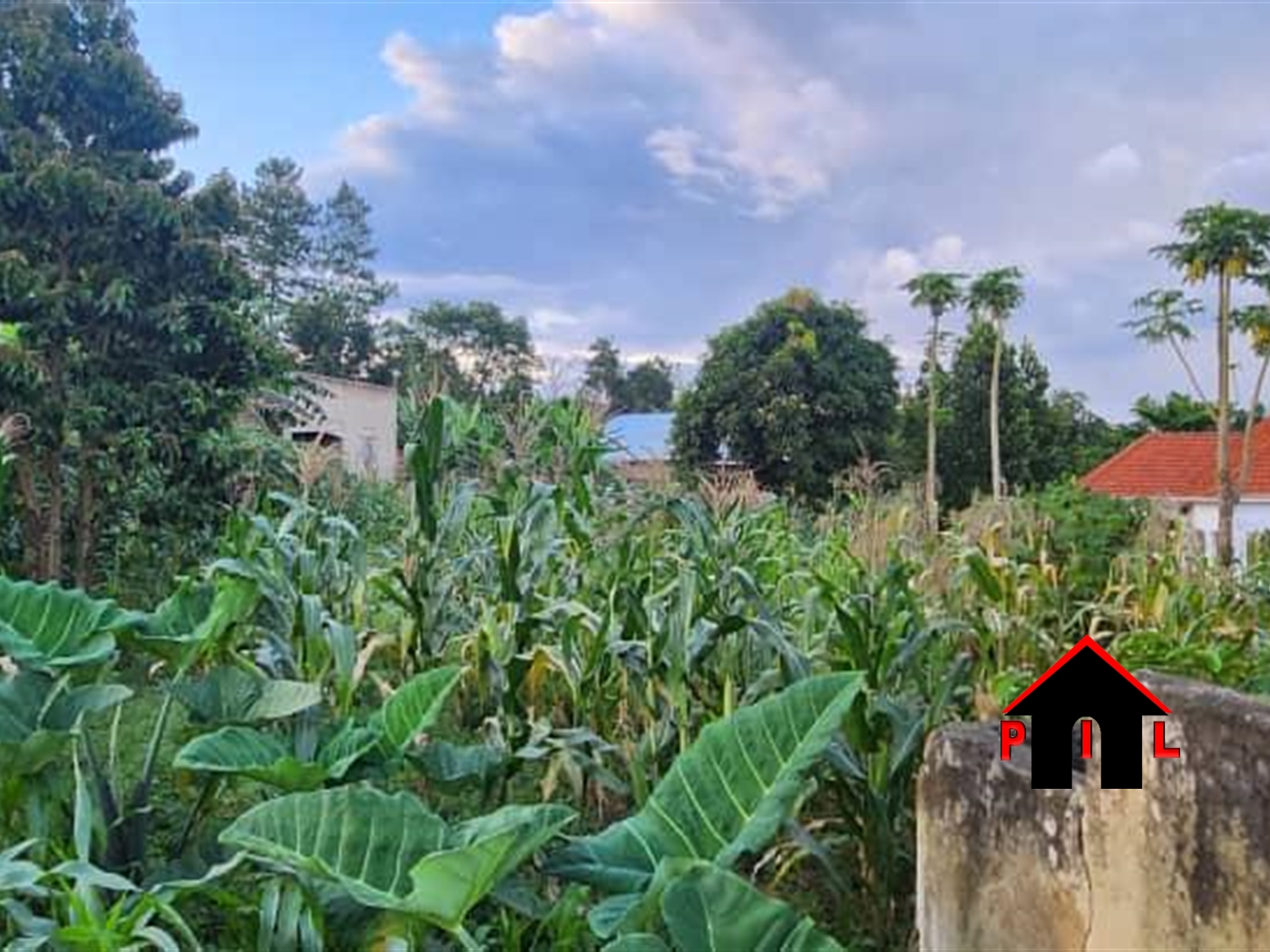 Residential Land for sale in Kabubbu Wakiso