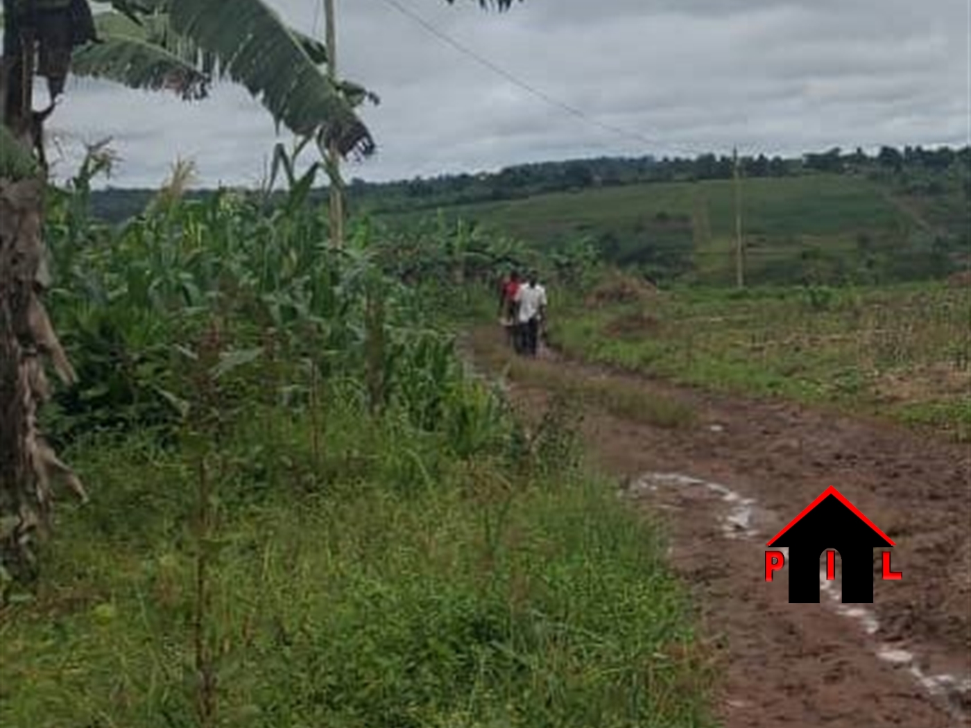 Residential Land for sale in Kigoggwa Wakiso