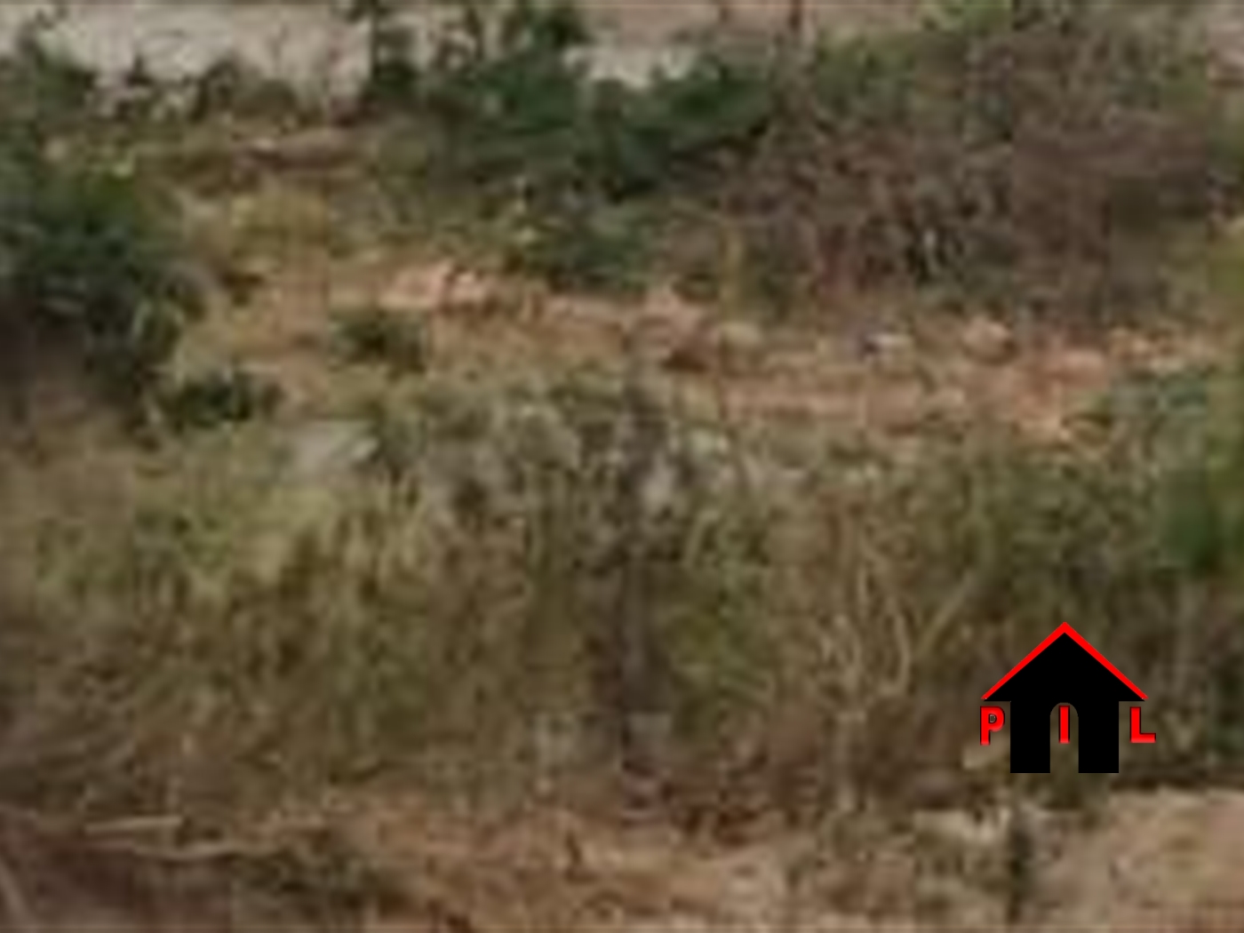 Commercial Land for sale in Fortportal Mbarara