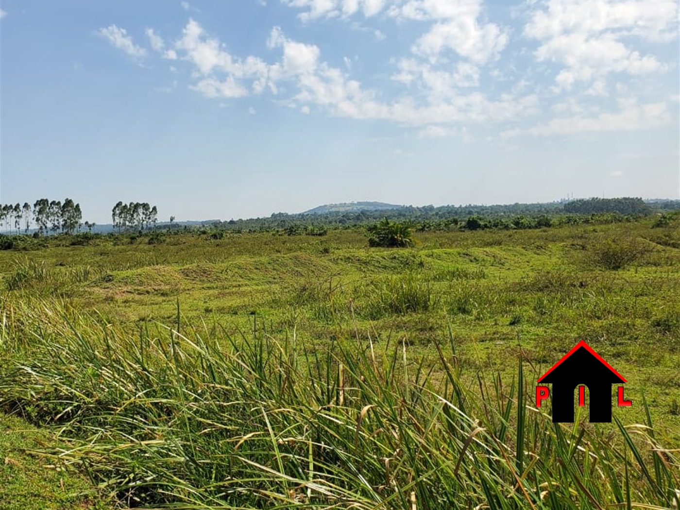 Commercial Land for sale in Kayabwe Masaka