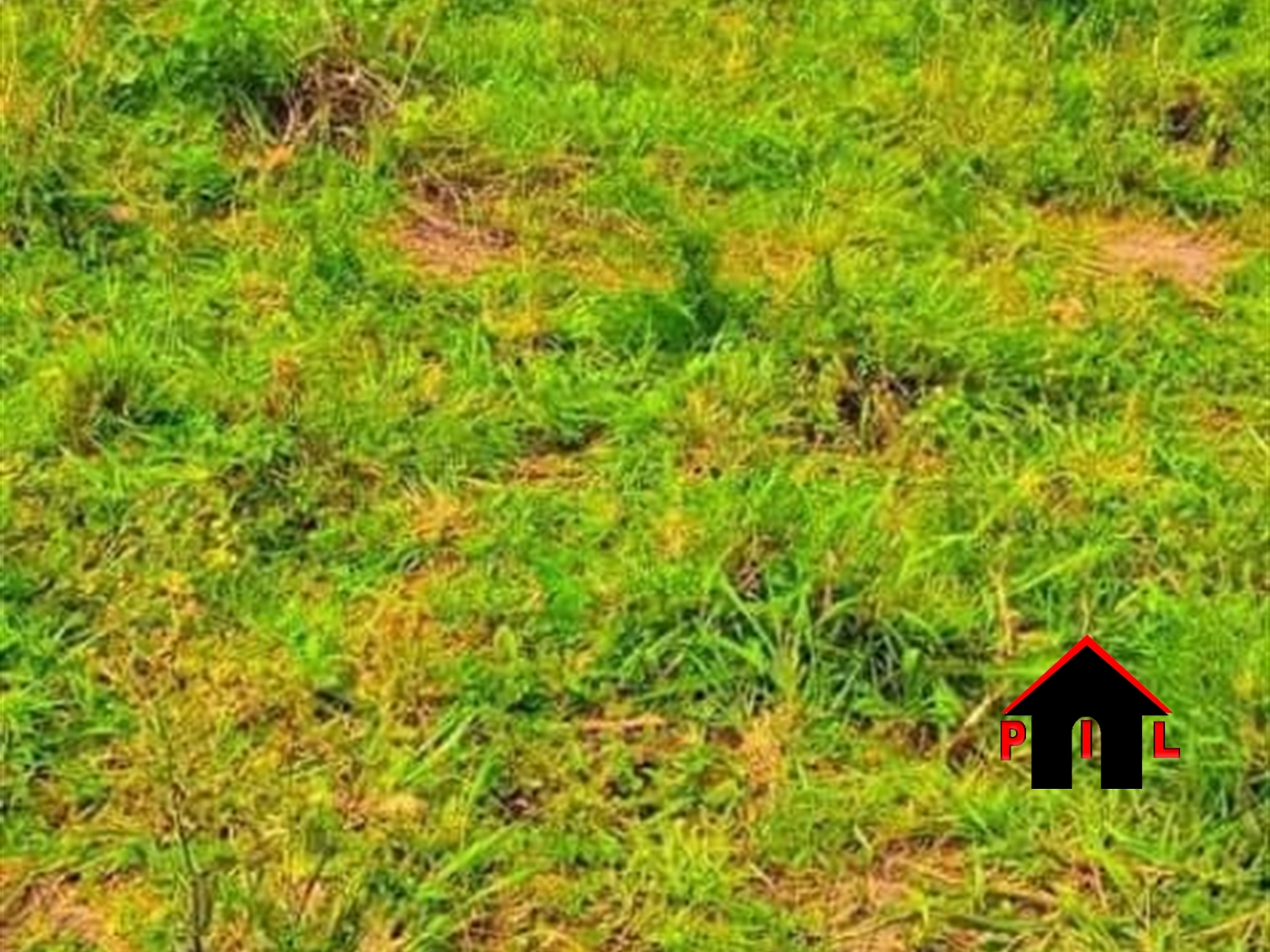 Agricultural Land for sale in Kapeeka Luweero