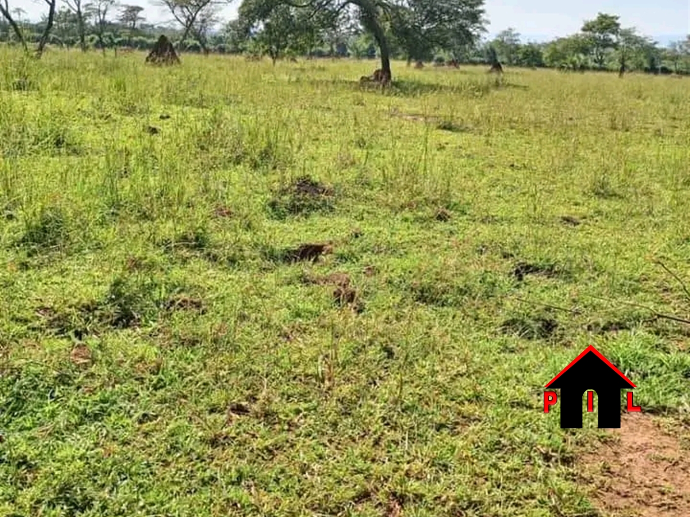 Agricultural Land for sale in Kapeeka Luweero