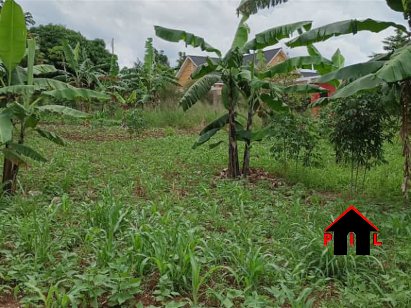 Residential Land for sale in Kiwenda Wakiso