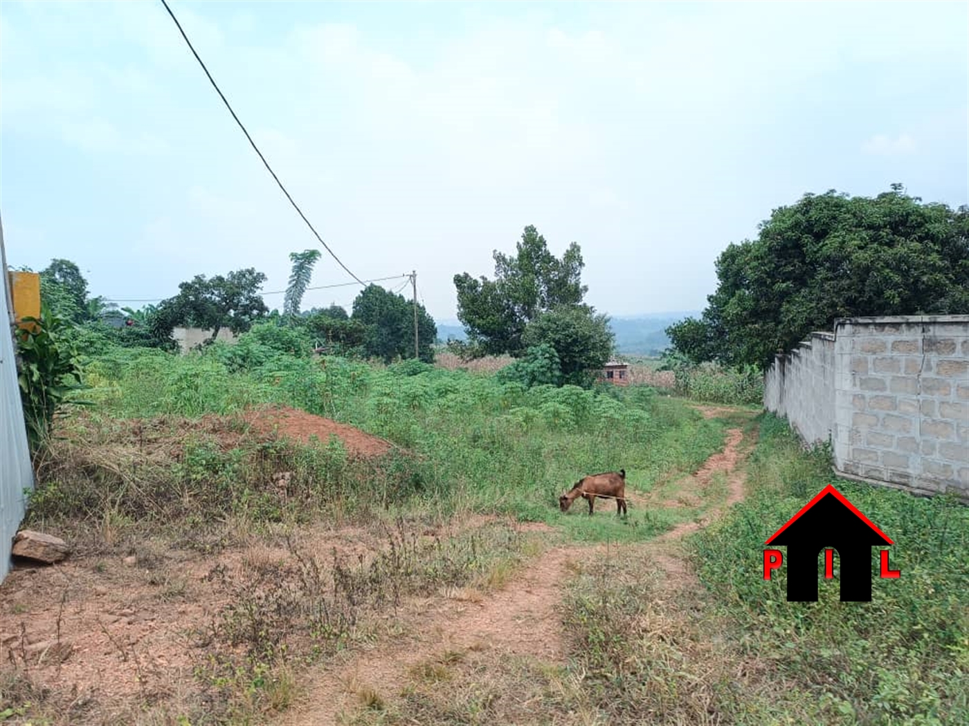 Commercial Land for sale in Bukeelele Wakiso