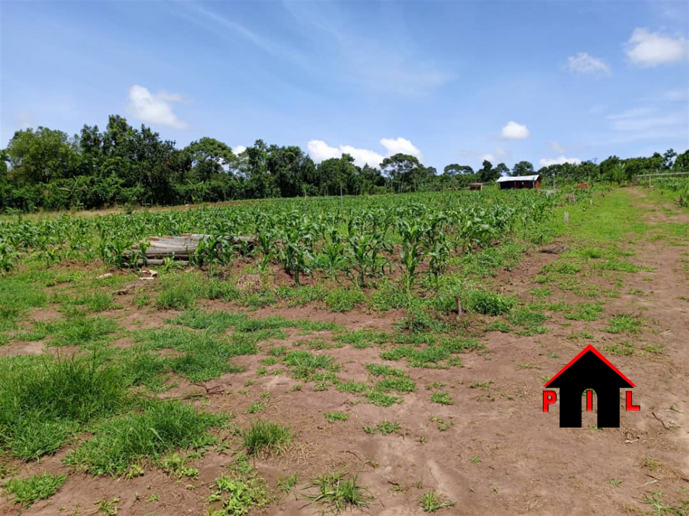 Commercial Land for sale in Biharwe Mbarara