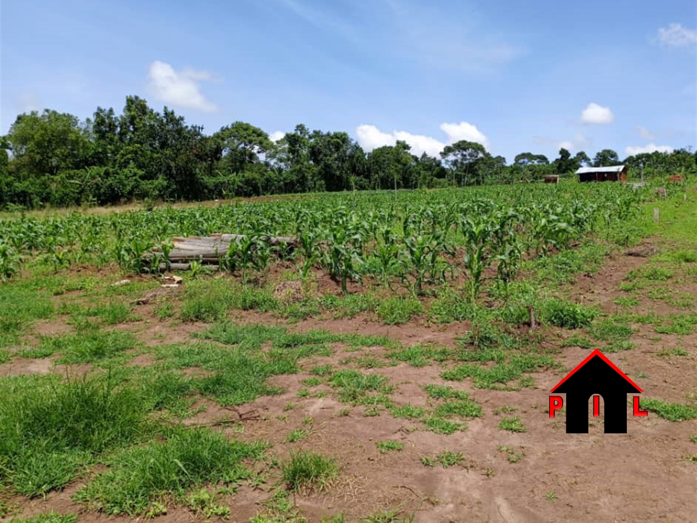 Commercial Land for sale in Biharwe Mbarara