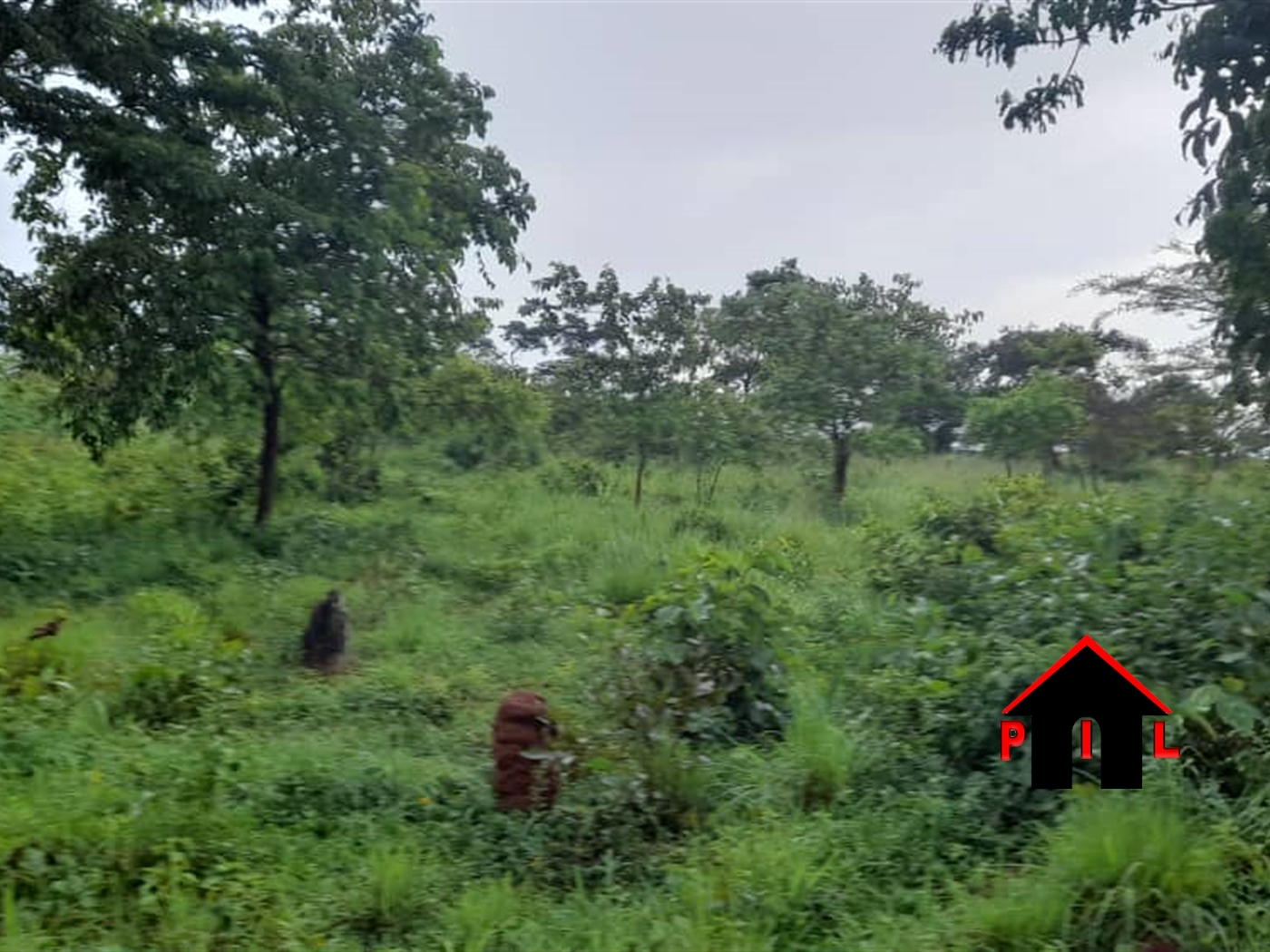 Residential Land for sale in Koranorya Mbarara