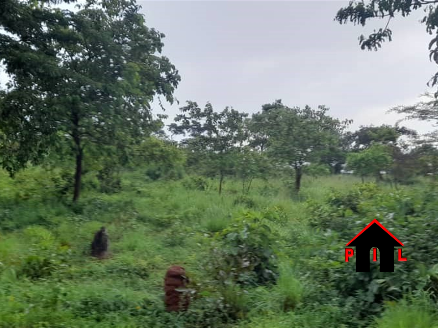 Residential Land for sale in Koranorya Mbarara