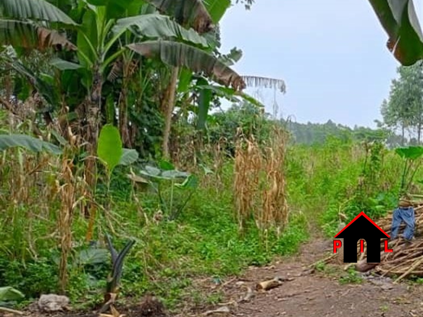 Commercial Land for sale in Bombo Luweero