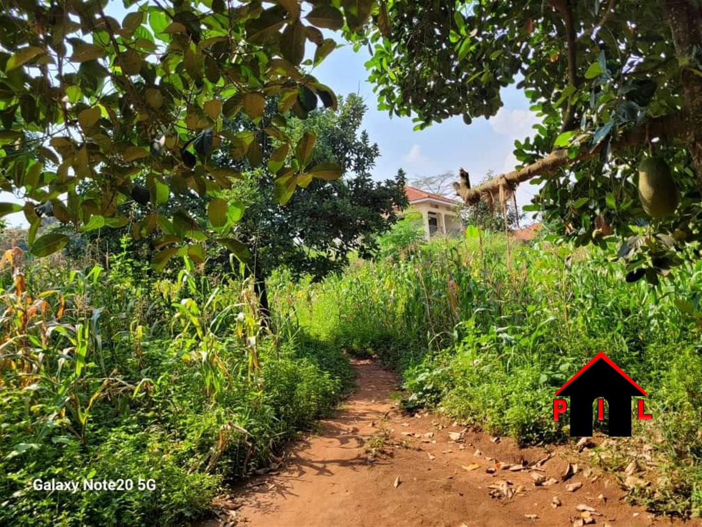 Residential Land for sale in Bbunga Kampala