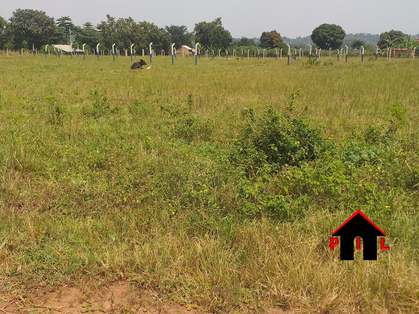 Residential Land for sale in Rwobuyenje Mbarara