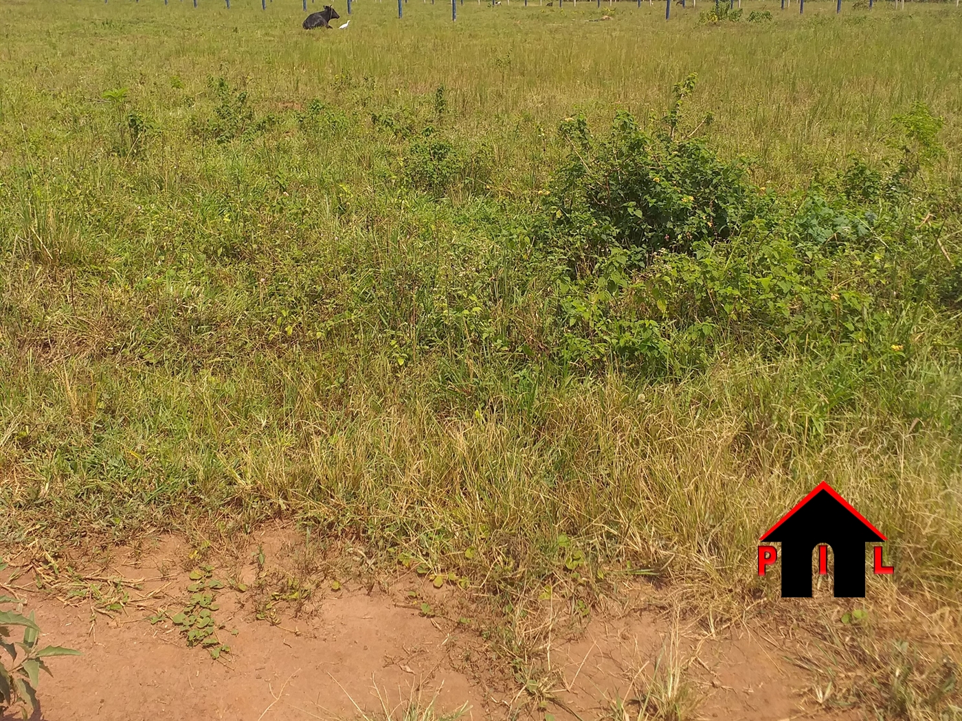 Residential Land for sale in Rwobuyenje Mbarara