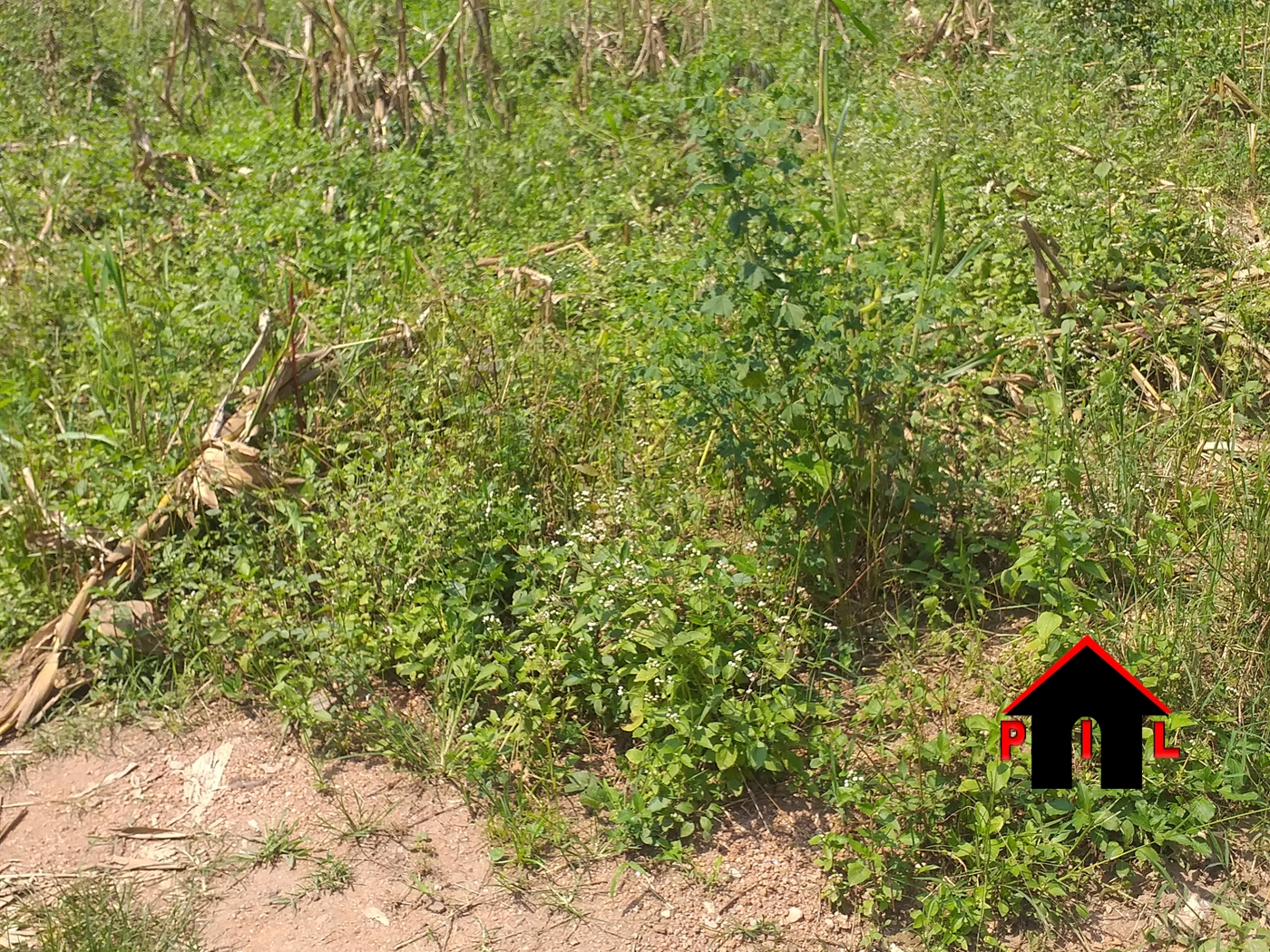 Residential Land for sale in Rwenjeru Mbarara