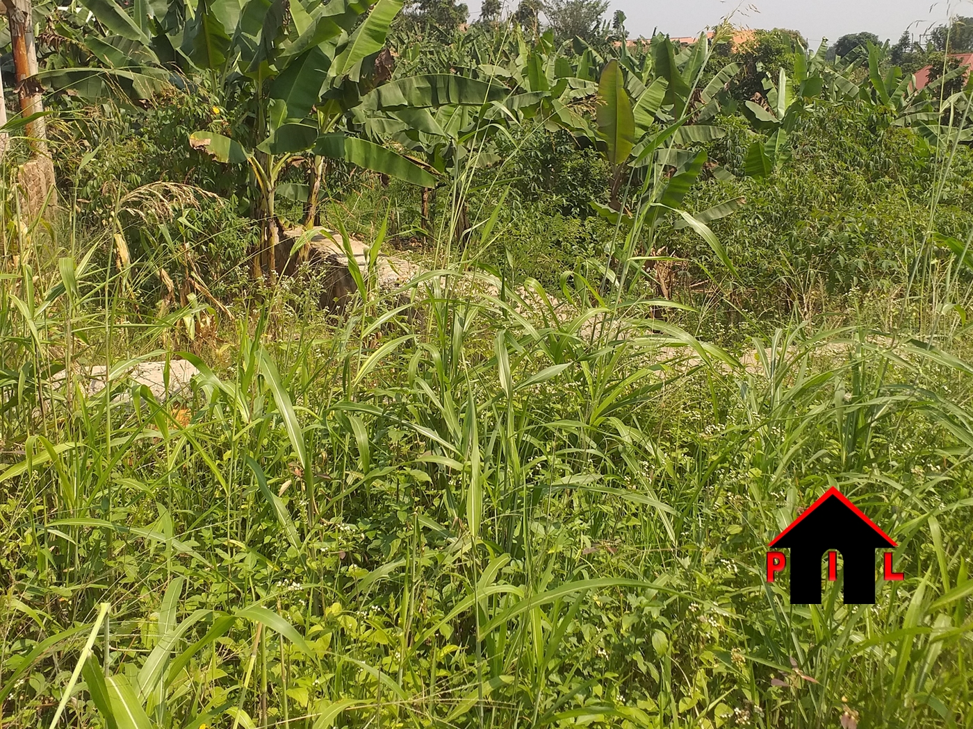 Residential Land for sale in Biharwe Mbarara