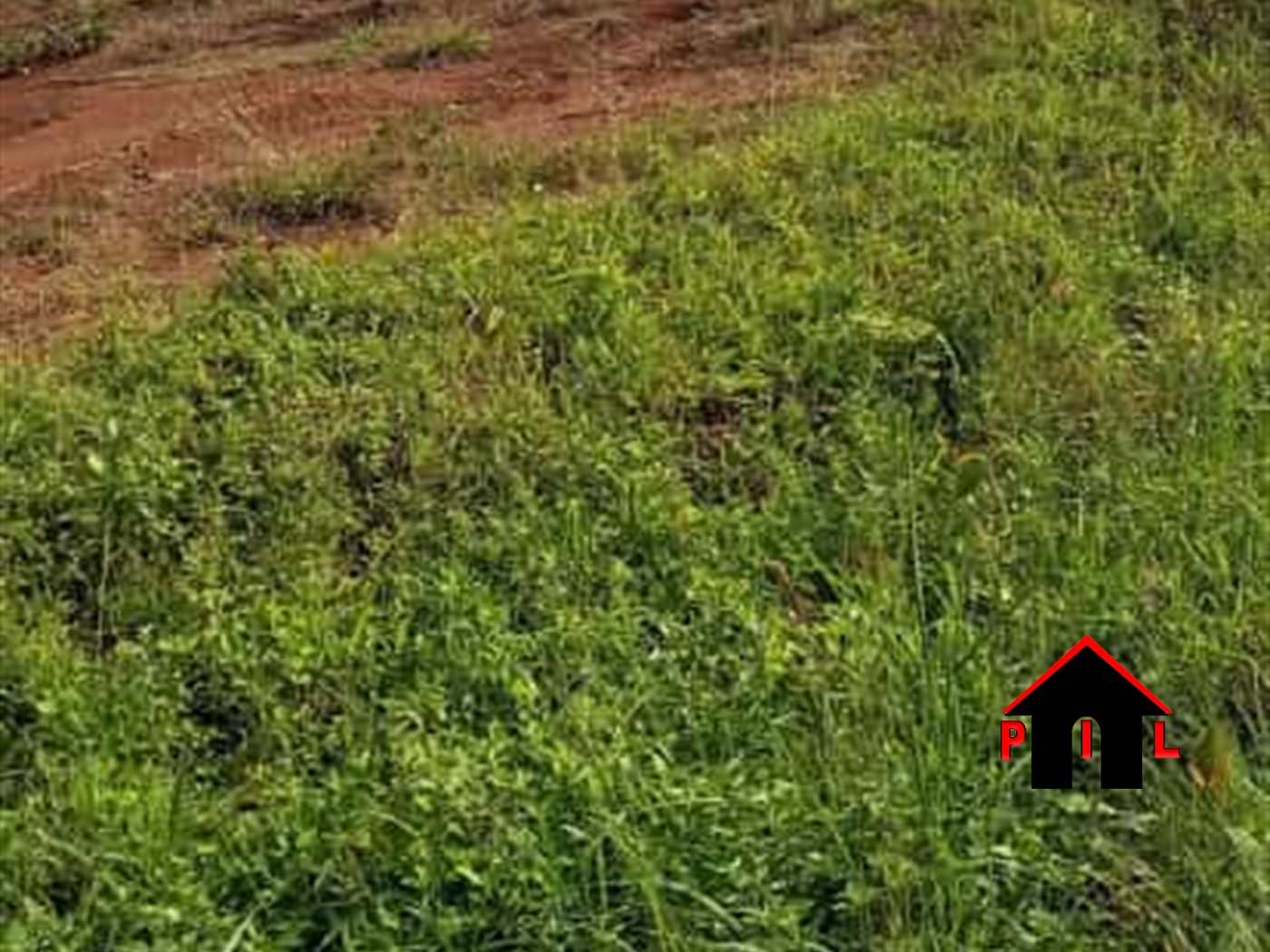 Commercial Land for sale in Gayaza Wakiso