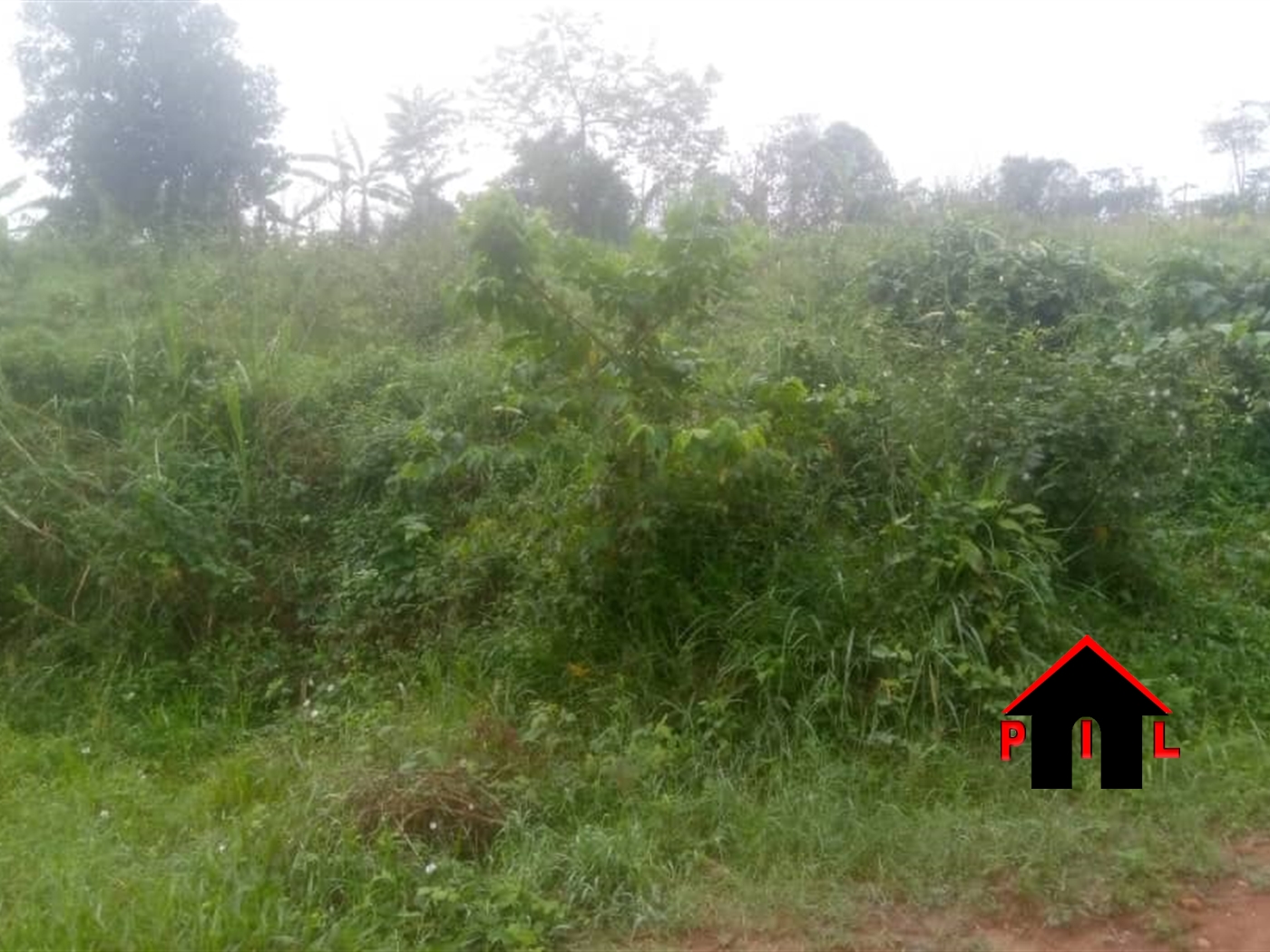 Residential Land for sale in Namusela Wakiso