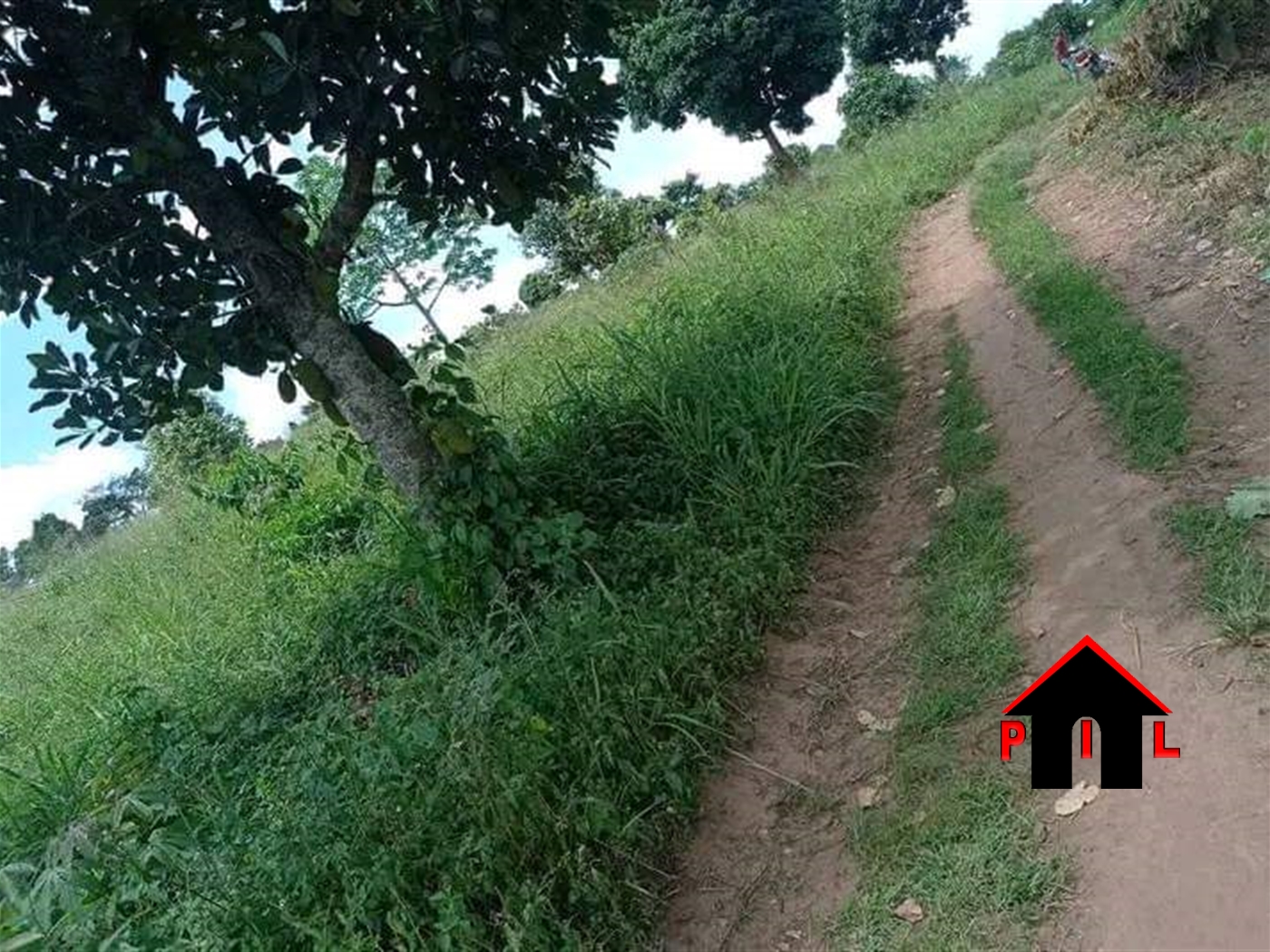 Agricultural Land for sale in Kakooge Nakasongola