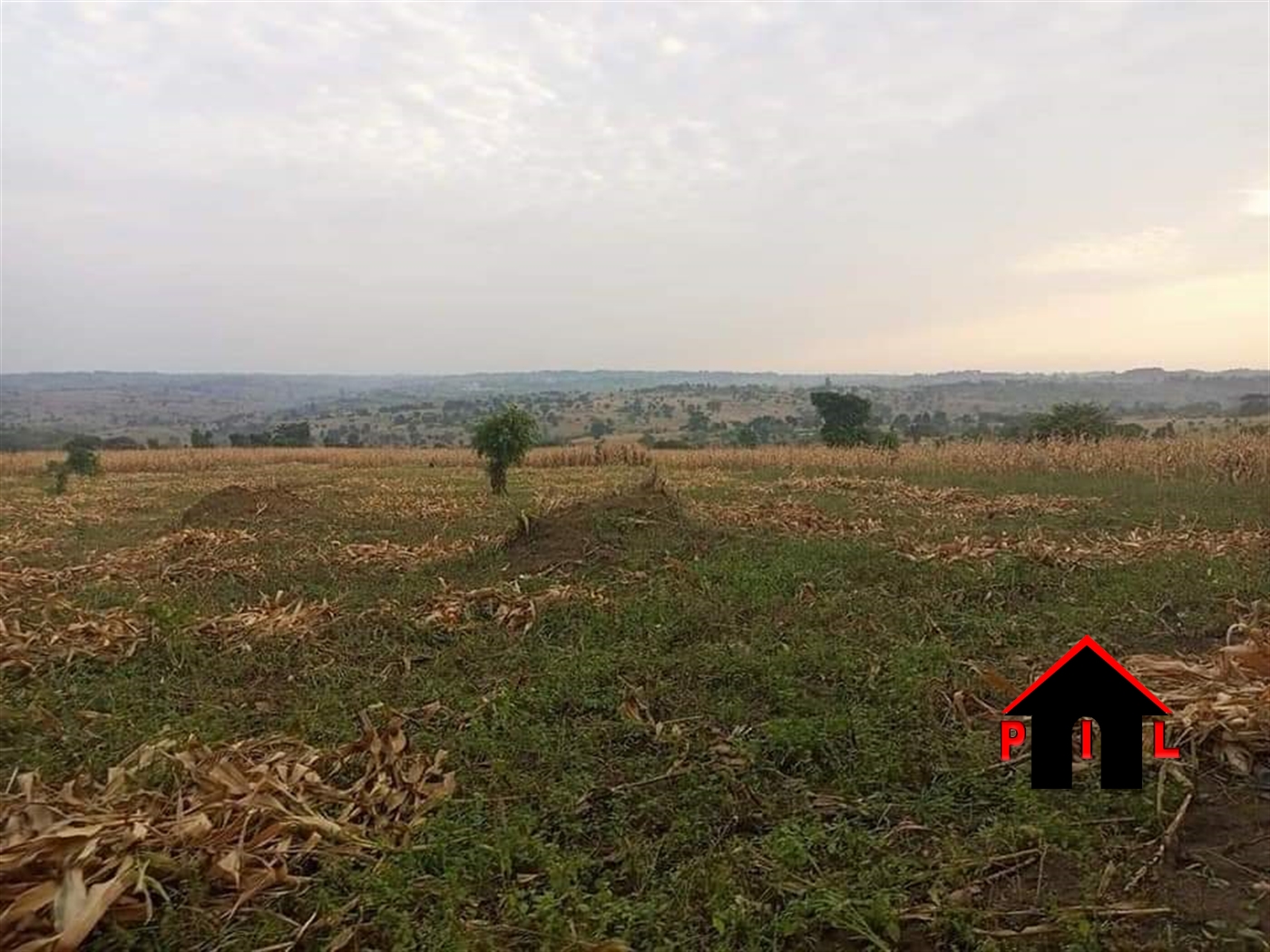 Commercial Land for sale in Kyangwali Kibuube