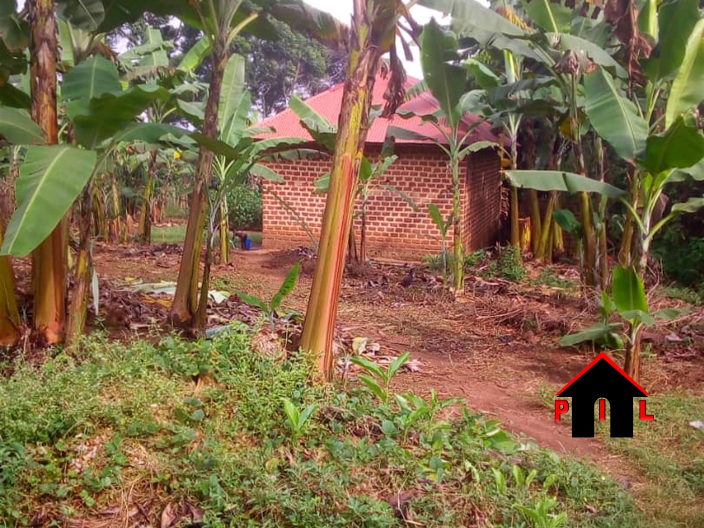 Agricultural Land for sale in Kiwenda Wakiso