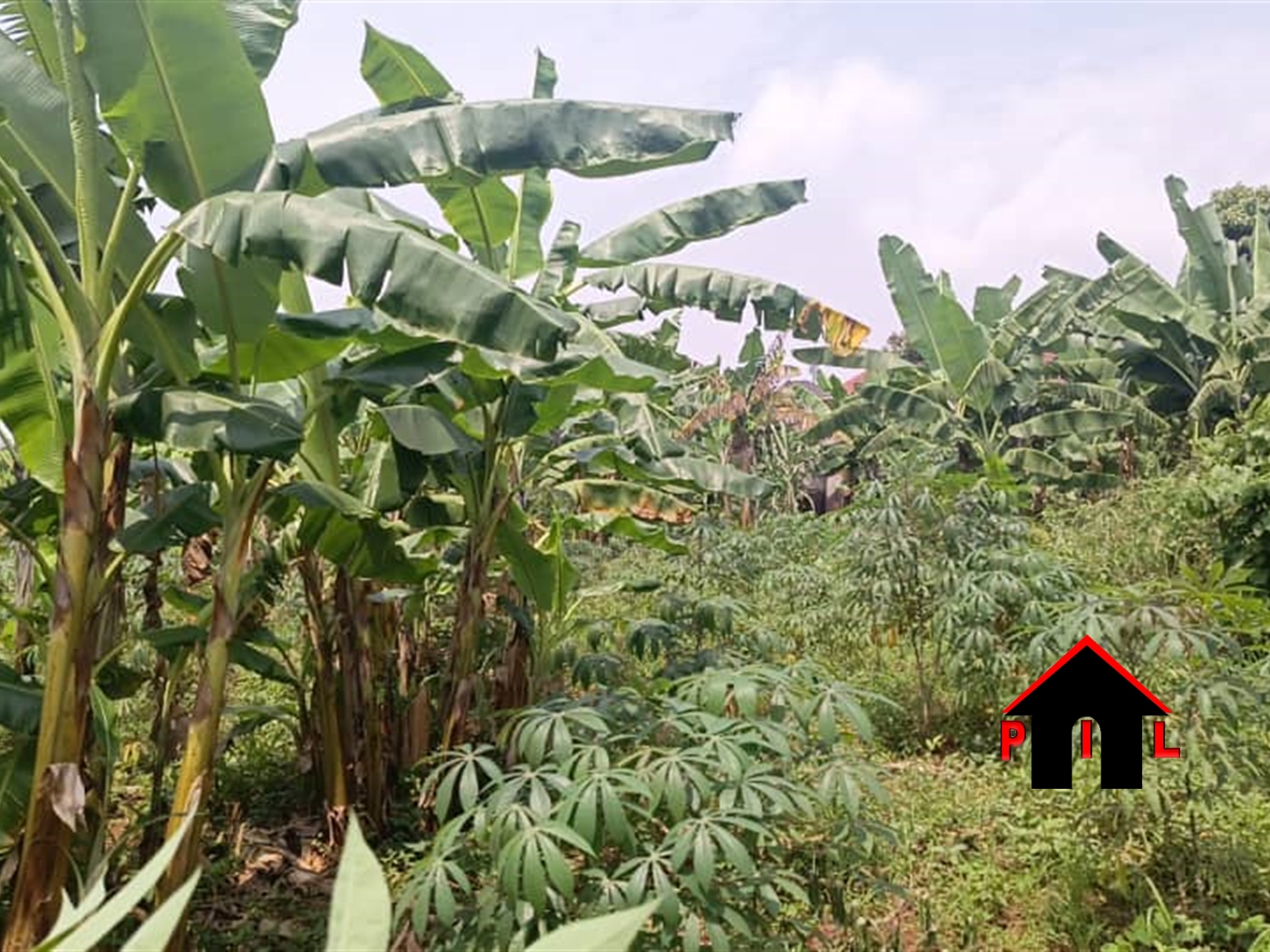 Residential Land for sale in Namayiba Mukono