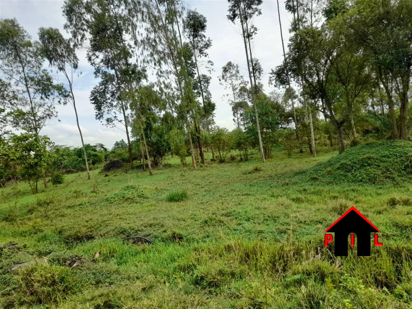 Residential Land for sale in Kaseenene Wakiso