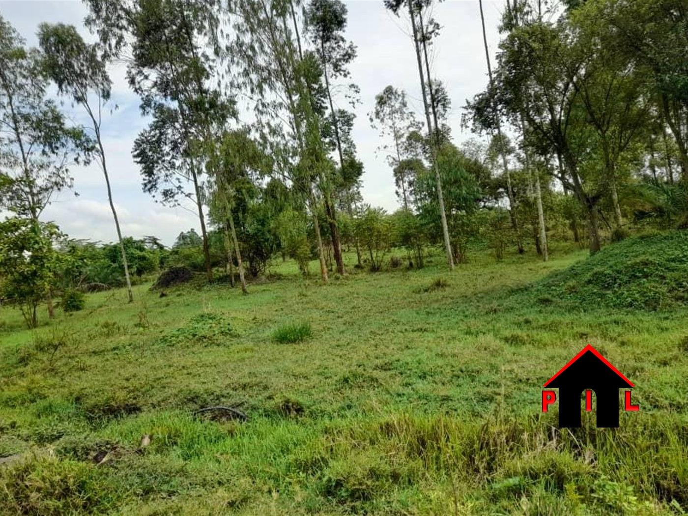 Residential Land for sale in Kaseenene Wakiso