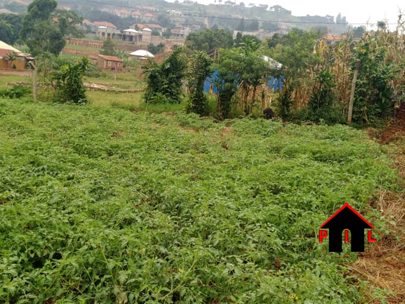 Residential Land for sale in Busukuma Wakiso