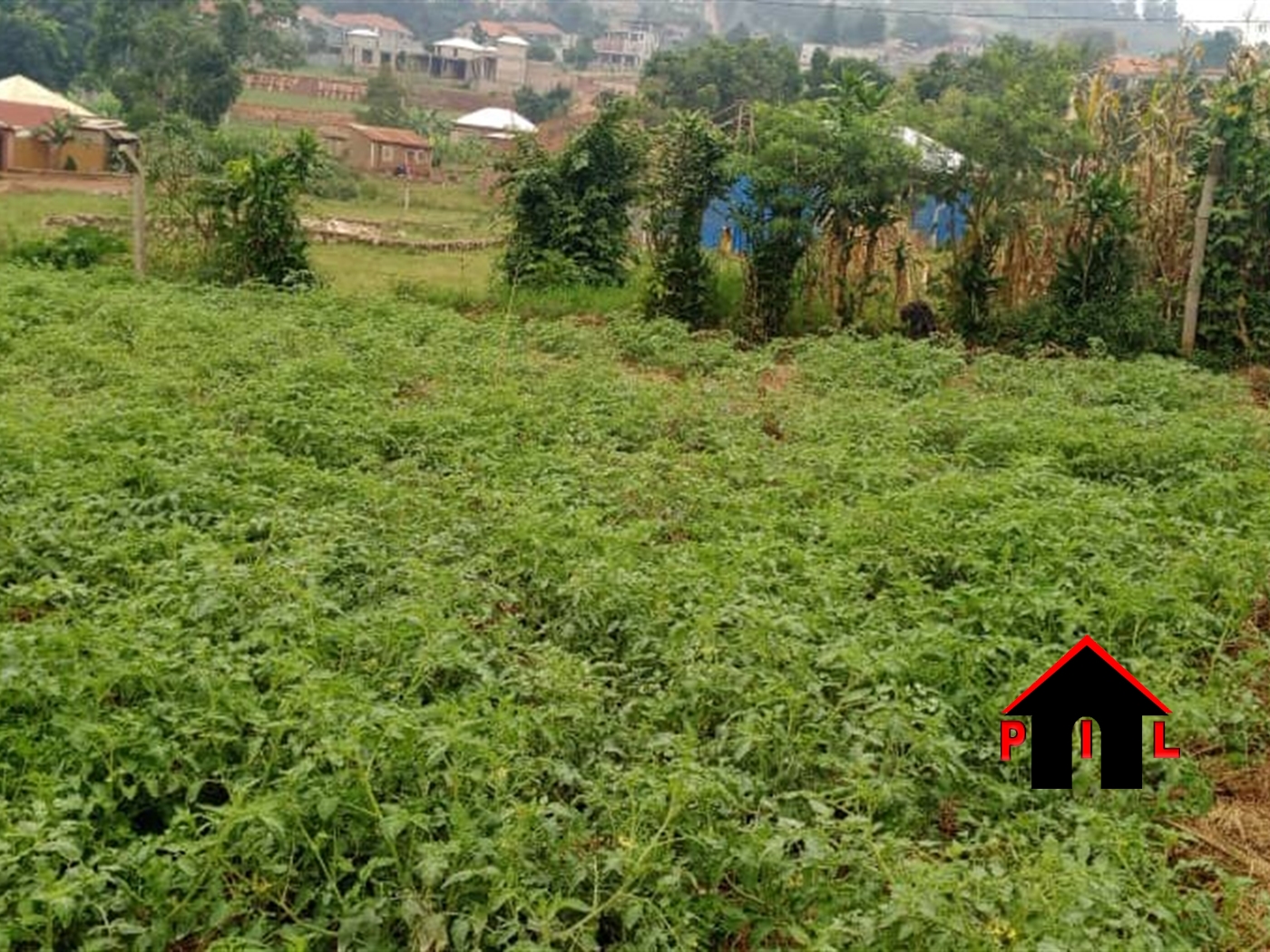 Residential Land for sale in Busukuma Wakiso