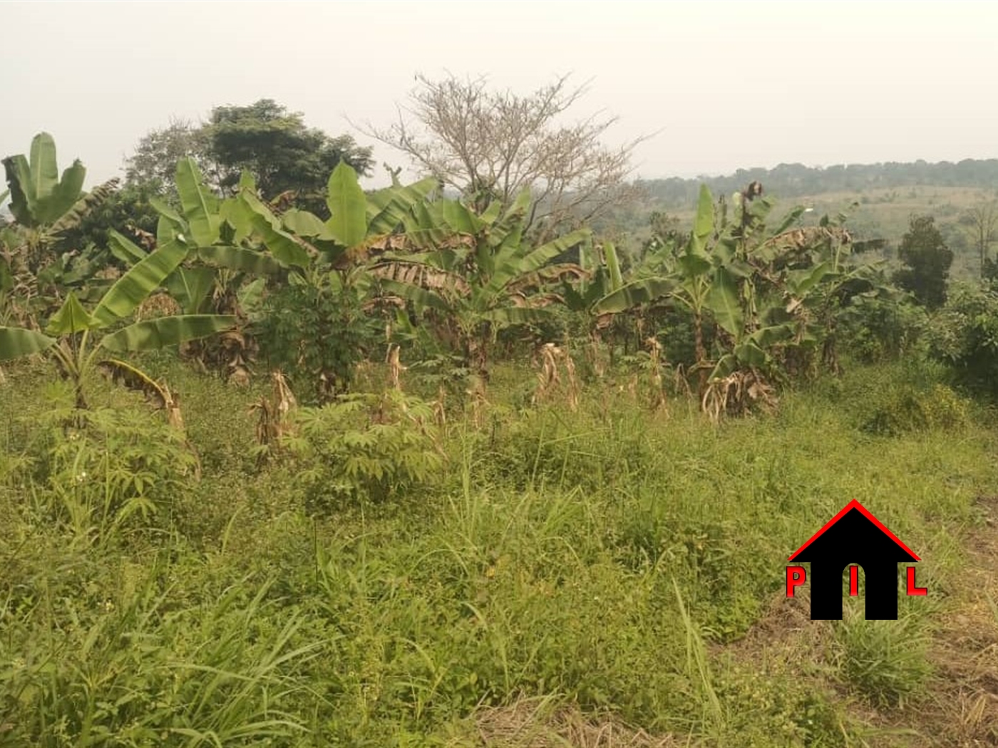 Residential Land for sale in Gayaza Wakiso