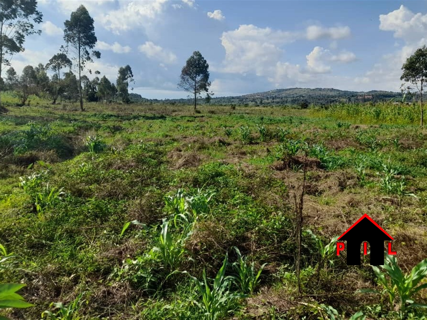 Residential Land for sale in Biharwe Mbarara