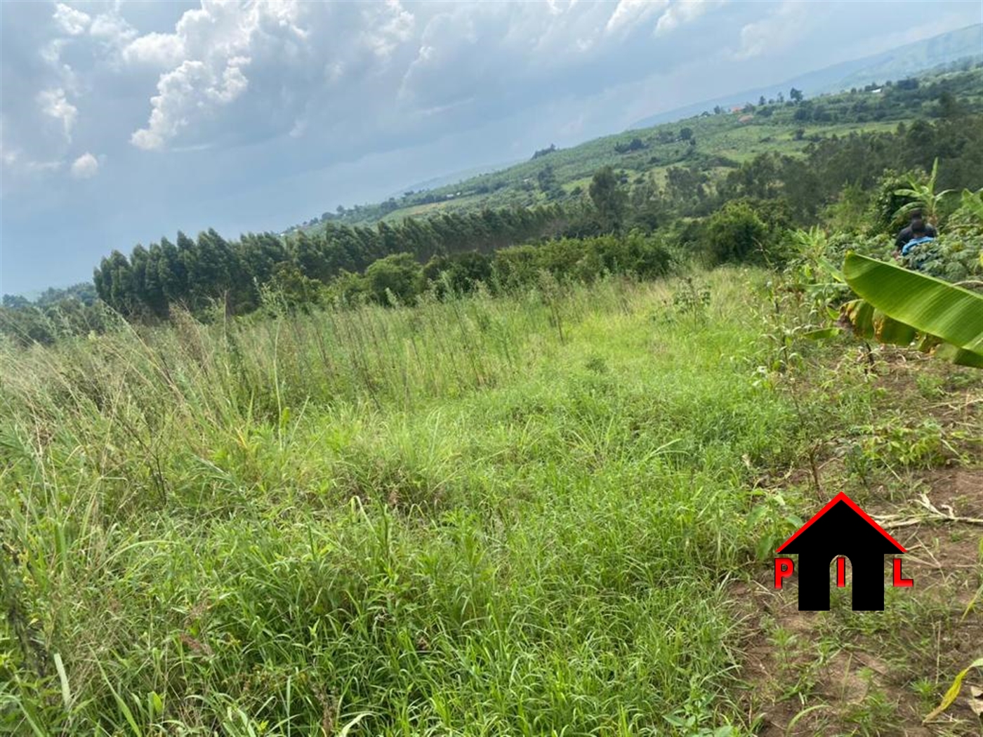 Residential Land for sale in Kashenyi Busheenyi