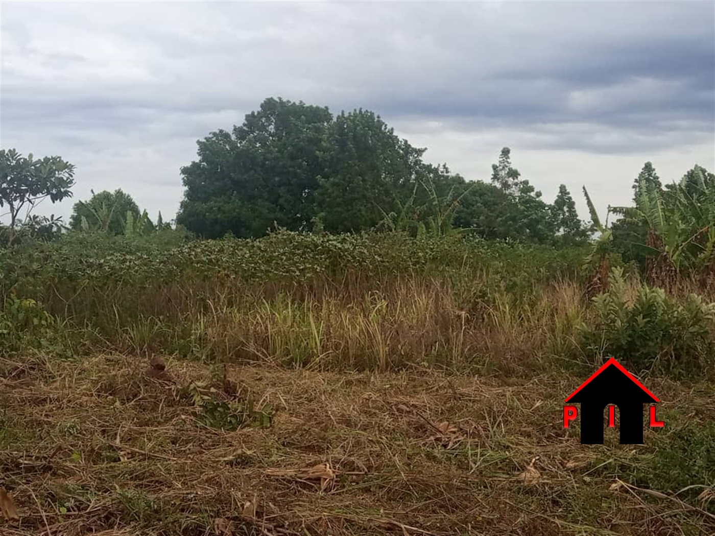 Residential Land for sale in Rwobuyenje Mbarara