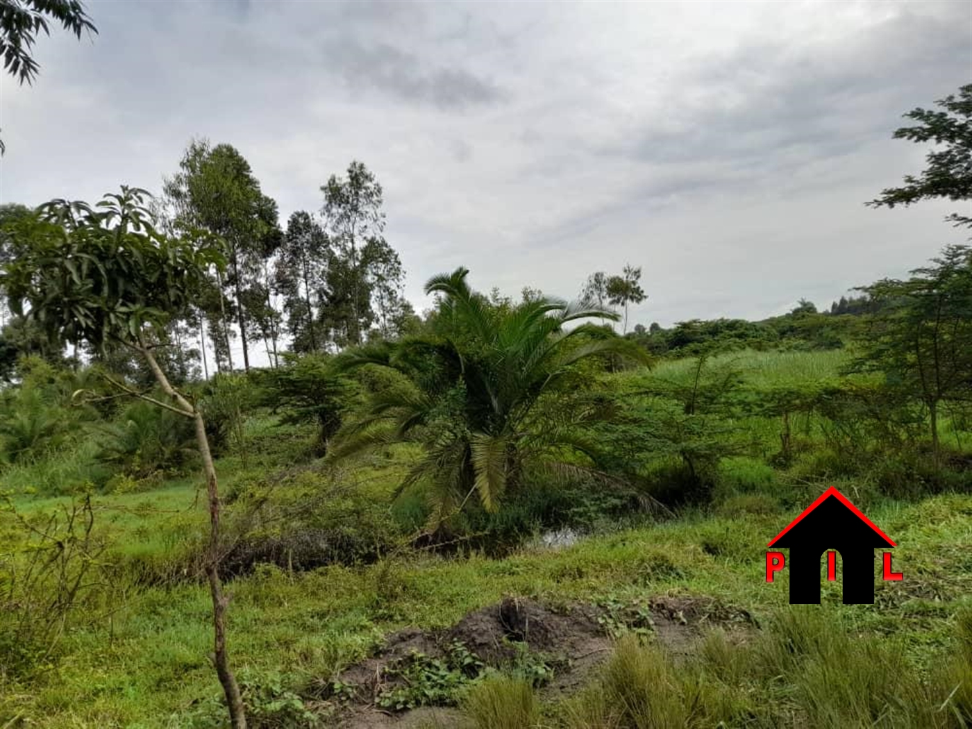 Residential Land for sale in Gayaza Wakiso