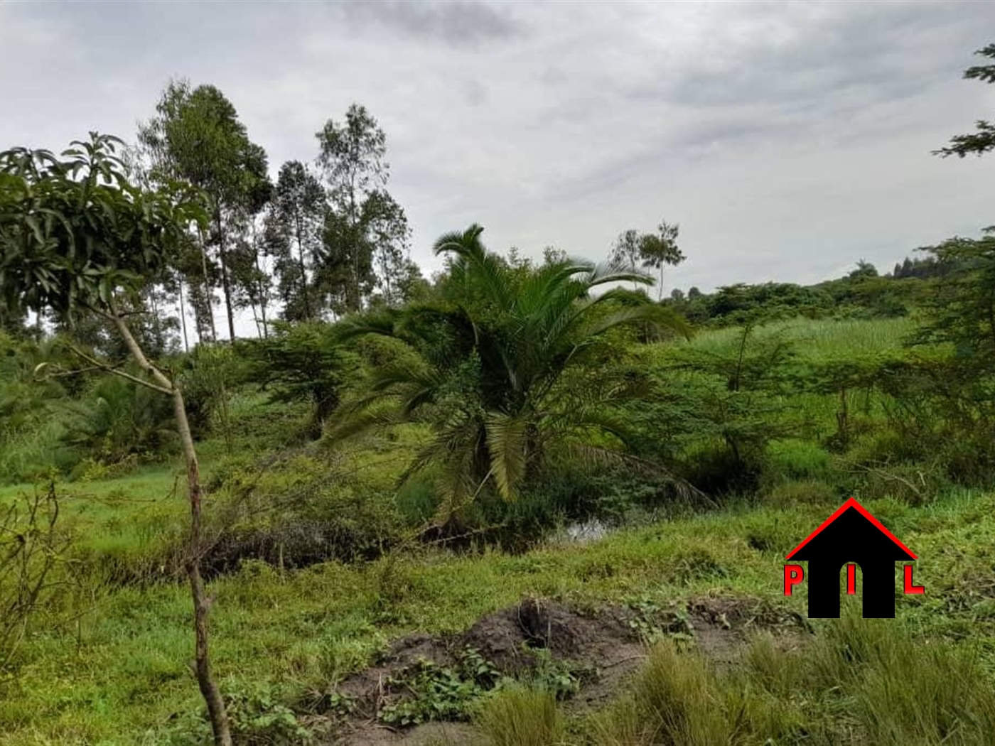 Residential Land for sale in Gayaza Wakiso